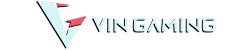 vin-gaming